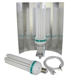 Kits lampe CFL