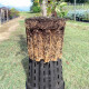 Pot pour plantes Ercole rond 9,5 L