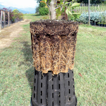 Pot pour plantes Ercole rond 20 L