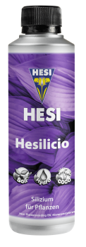 HESI Hesilicio Booster de silicium 250 ml