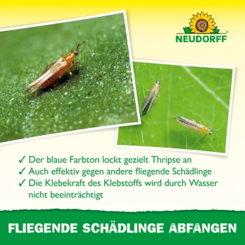 Neudorff Autocollants bleus 8 x 13 cm, lot de 10, contre les thrips