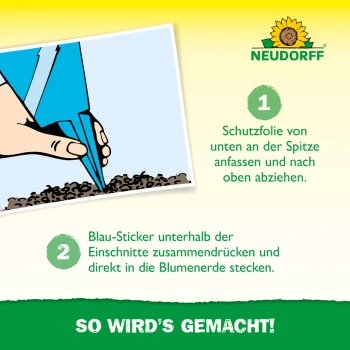 Neudorff Autocollants bleus 8 x 13 cm, lot de 10, contre les thrips