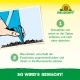 Neudorff Autocollants bleus 8 x 13 cm, lot de 10, contre les thrips