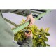 Lampe de culture LED Treegers GL650W à spectre complet