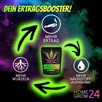 Homegrow24 Granulés de mycorhizes 100 g