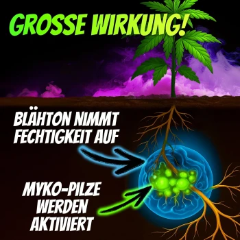 Homegrow24 Granulés de mycorhizes 100 g