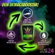 Homegrow24 Granulés de mycorhizes 100 g