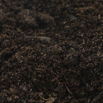 Bio Terre FRUX pour semis et repiquage - 10 litres
