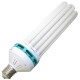 Kit lampe CFL 200W croissance 6400K Elektrox