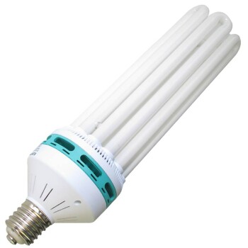 Kit lampe CFL 125W croissance 6400K Elektrox
