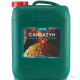 Canna Cannazym 10L