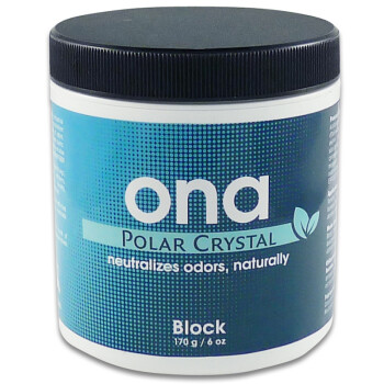 Destructeurs dodeurs ONA Block Polar Crystal 170 g
