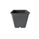 Pot carré 13 x 13 x 13 cm, env. 1,5 L