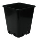 Pots carrés pour plantes 5,7 - 11 litres