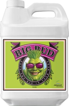 Advanced Nutrients Big Bud stimulateur de floraison 250 ml