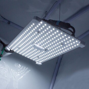 LUMii Black Blade LED Lampe 100W pour la croissance
