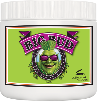 Advanced Nutrients Big Bud Powder accélérateur de floraison 500g